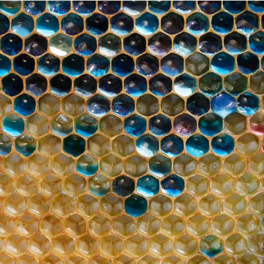 Miel Azul ¿Es Posible?