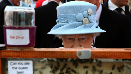 Abejas guardan el luto tras la muerte de la Reina Isabel ll