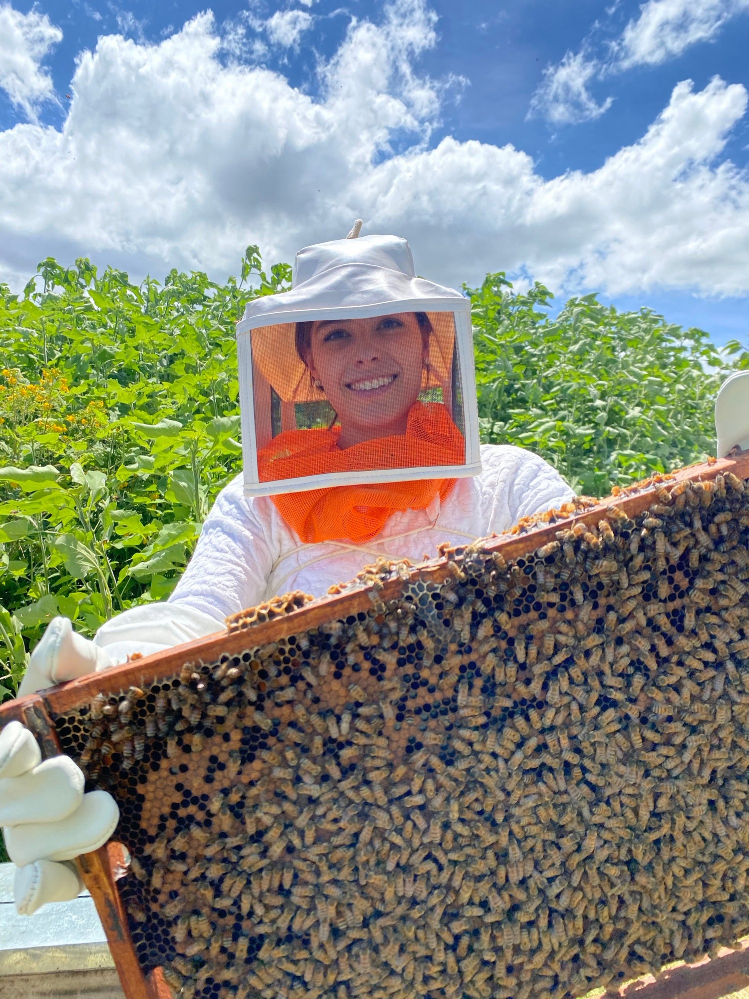 Miel de Abeja